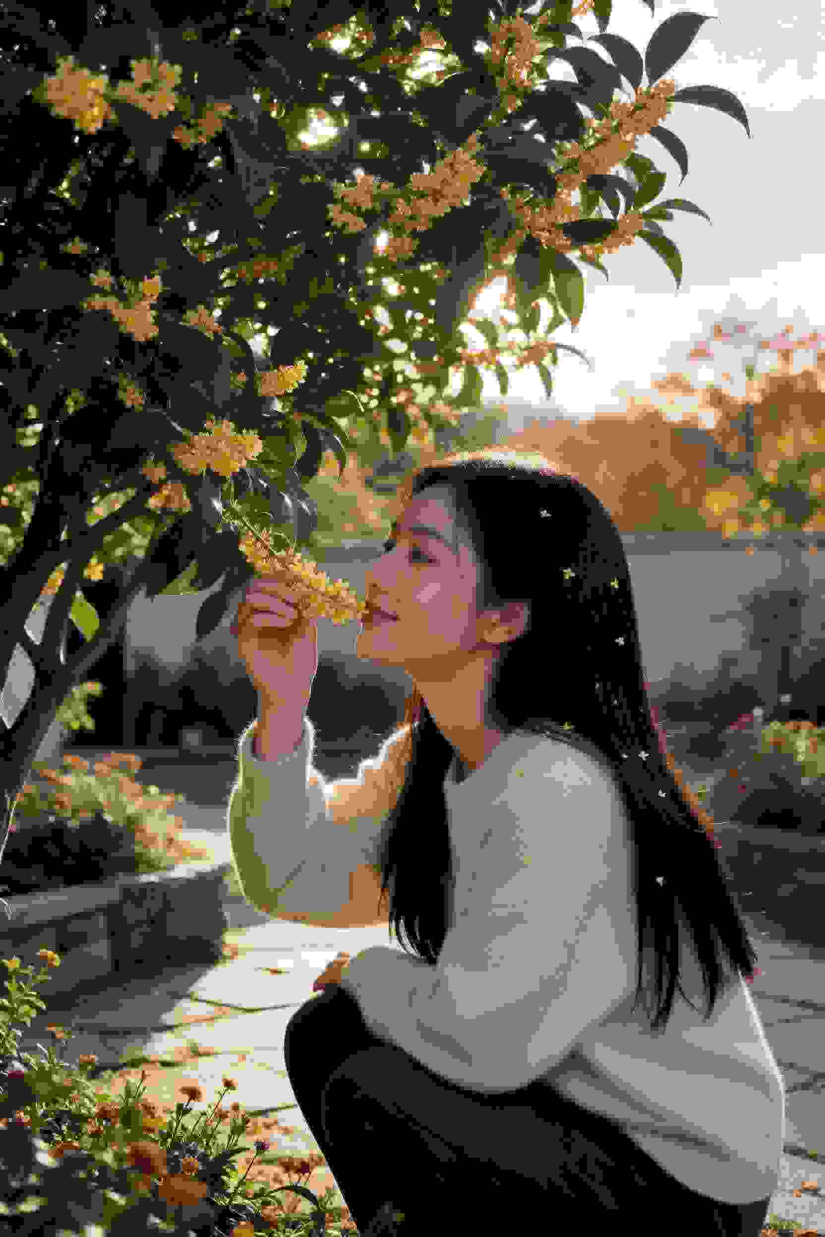 婚恋